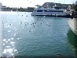 DSC05180.JPG