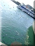DSC05181.JPG