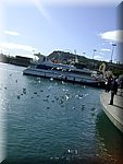 DSC05182.JPG