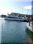 DSC05183.JPG