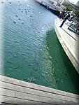 DSC05184.JPG