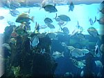 DSC05257.JPG