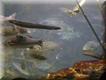 DSC05260.JPG