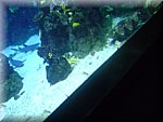 DSC05266.JPG