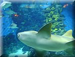 DSC05269.JPG
