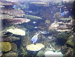 DSC05270.JPG