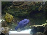 DSC05275.JPG
