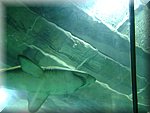 DSC05276.JPG