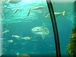 DSC05279.JPG