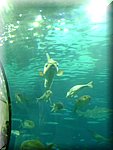 DSC05280.JPG