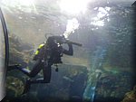 DSC05285.JPG