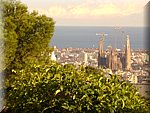 DSC05314.JPG
