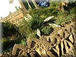 DSC05325.JPG