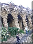 DSC05344.JPG