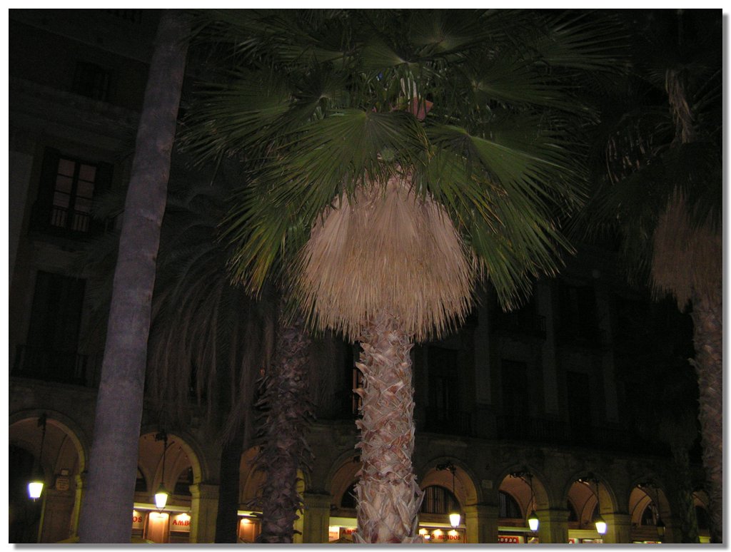 PICT0032.JPG