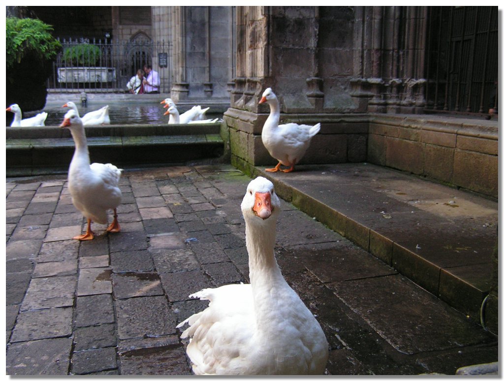 PICT0054.JPG