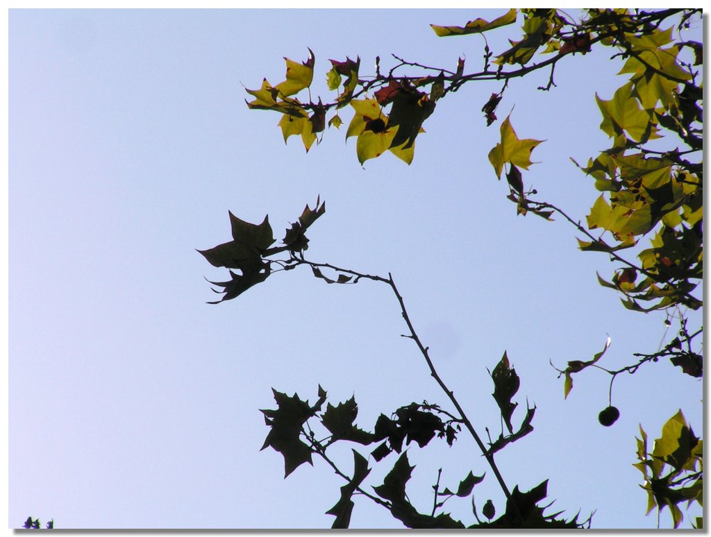PICT0084.JPG