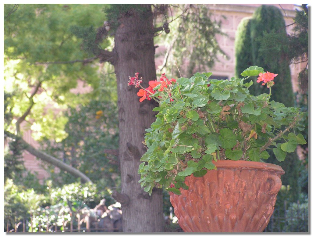 PICT0089.JPG