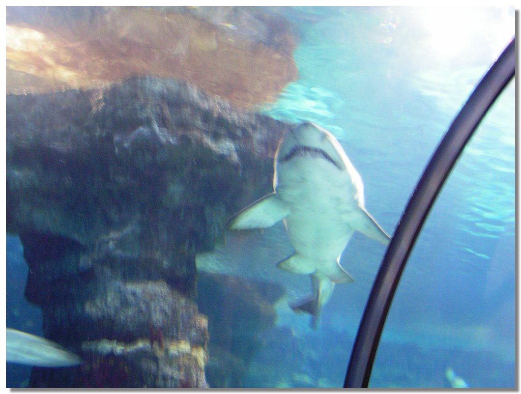 PICT0185.JPG