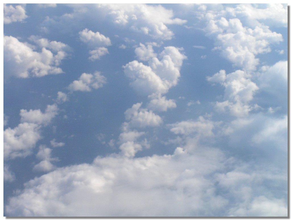 PICT0221.JPG