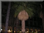 PICT0032.JPG