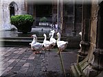 PICT0053.JPG