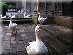PICT0054.JPG