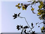 PICT0084.JPG