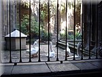 DSC03219.JPG