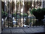 DSC03220.JPG