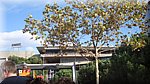 DSC03247.JPG