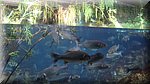 DSC03346.JPG