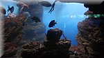 DSC03349.JPG
