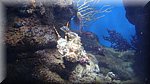 DSC03352.JPG