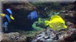 DSC03360.JPG