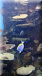 DSC03364.JPG