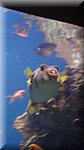 DSC03366.JPG