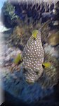 DSC03367.JPG