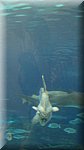 DSC03372.JPG
