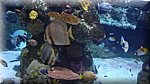 DSC03384.JPG