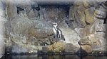 DSC03385.JPG