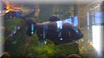 DSC03387.JPG