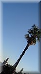 DSC03414.JPG
