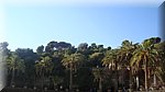 DSC03419.JPG