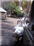 Foto1552.jpg