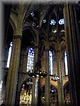 Foto1557.jpg