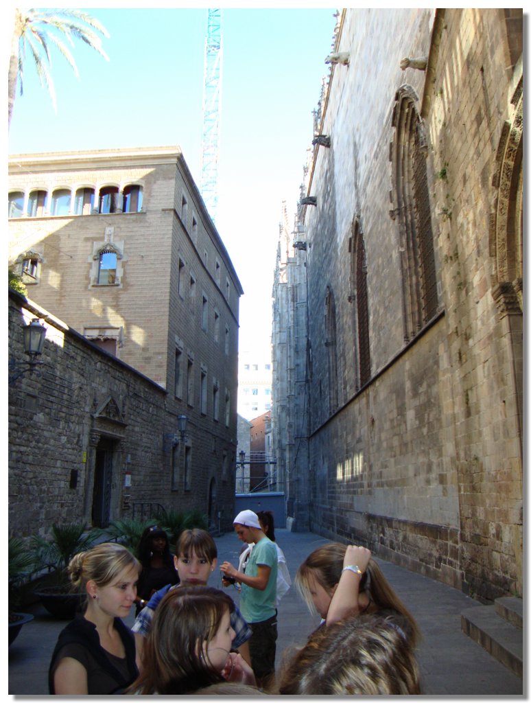 BCLNA_3199.JPG