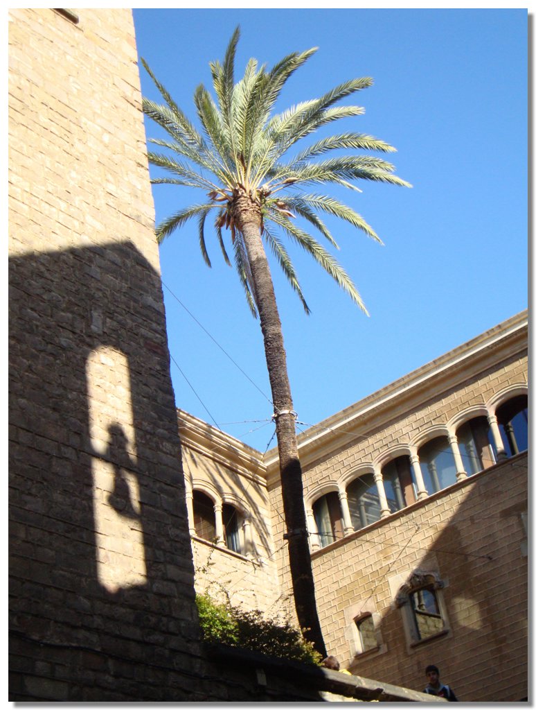 BCLNA_3200.JPG