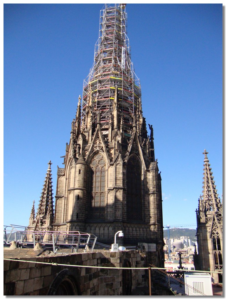 BCLNA_3210.JPG
