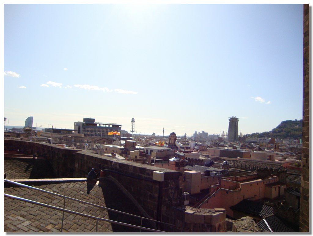 BCLNA_3214.JPG
